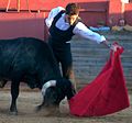 Fiske-Harrison toreando un toro de Saltillo, el 5 de noviembre, 2010.