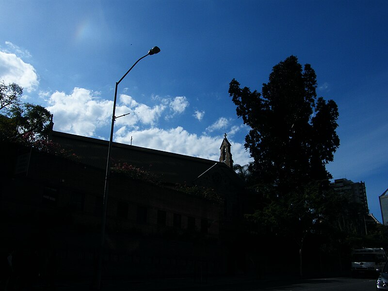 File:All Saints Anglican Church and kauri pine Ann St Brisbane DSCF8584.jpg