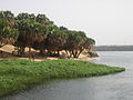 Along the Nile (2427866403).jpg