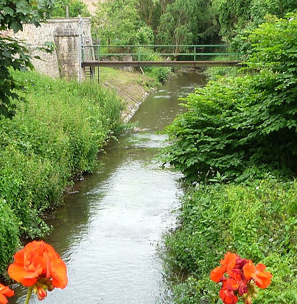 File:Amazonas - panoramio (2).jpg