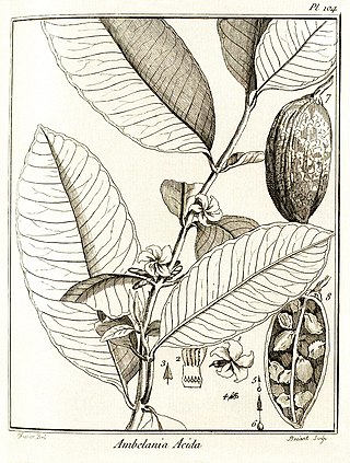 <i>Ambelania</i> Genus of flowering plants