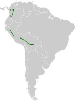 Distribución geográfica del cotinga cresticastaño.