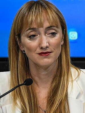 Anabel Fernández Sagasti: Trayectoria política, Vida personal, Referencias