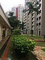 Anchorvale Vista Block 309D, 3. Januar.jpg