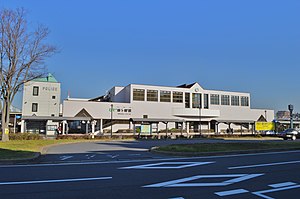 Anegasaki Station, ekisha.JPG