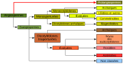 Vignette pour Hydatellaceae