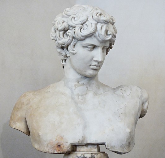 Bust of Antinous in the Palazzo Altemps museum in Rome