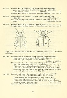 Водные сухопутные жуки (Coleoptera) США (стр. 28) BHL3286826.jpg