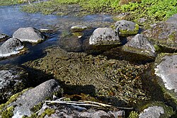 Aravete fjærer