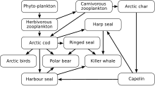 Food chain - Simple English Wikipedia, the free encyclopedia