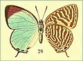 01:31, 14 azaroa 2011 bertsioaren iruditxoa