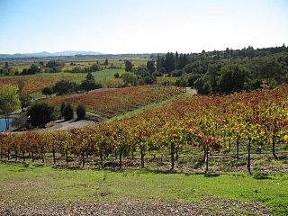 <span class="mw-page-title-main">North Coast AVA</span> American Viticultural Area in California