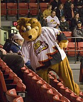 Attack mascot Cubby Attack mascot Cubby.jpg