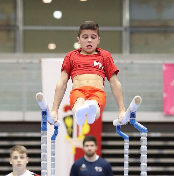 File:Austrian Future Cup 2018-11-23 Training Afternoon Parallel bars (Martin Rulsch) 0367.jpg