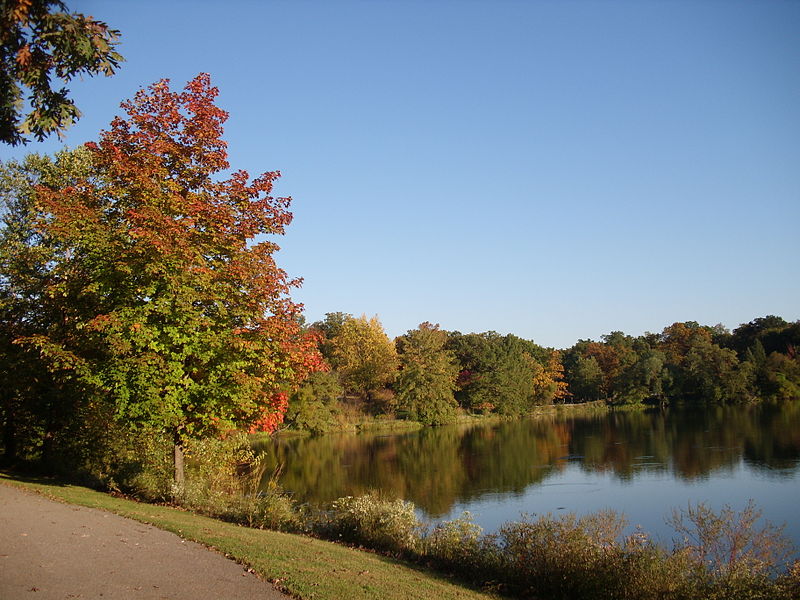 File:Autumn Trees by Lake.JPG