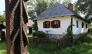 Banat Village Museum Open-air ethnographic museum in Timiș, Romania