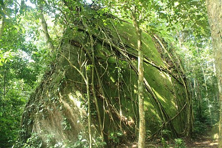 Gua Batu Maloi