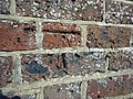 wikimedia_commons=File:Benchmark, Bridge Wall, Buckhurst Place, Bexhill.jpg
