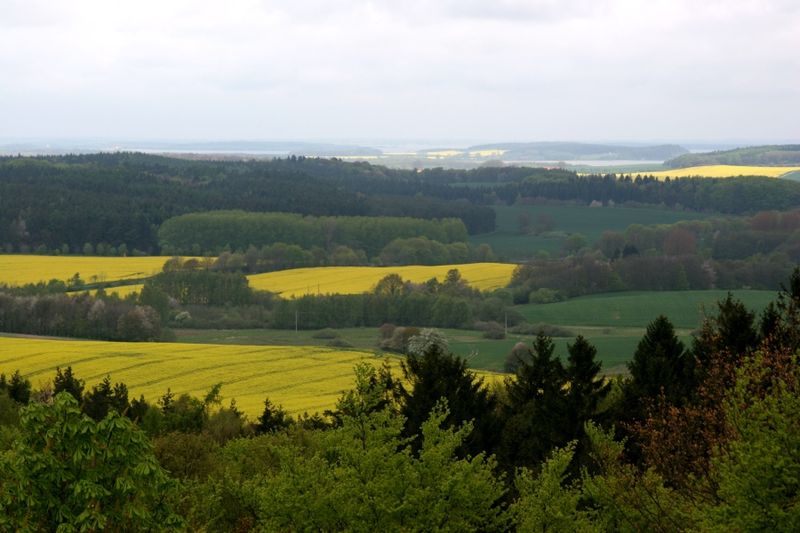 File:Bergen-auf-ruegen-rugard-turm-blick-nordost-bodden-ostsee thfr (1).jpg