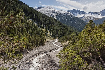 Córrego de montanha e afluente do rio Clemgia (bacia do rio Inn) no vale S-charl, Cantão dos Grisões, Suíça (definição 5 184 × 3 456)