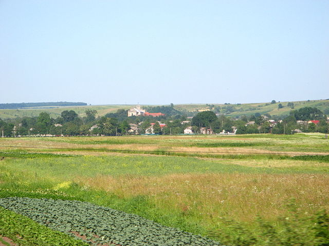 панорама селища