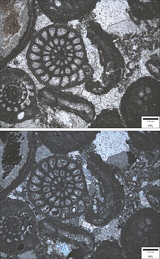 <span class="mw-page-title-main">Stanton Formation</span>