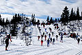 Birkebeinerrennet, Central Dağı Mart 2010