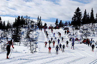 Birkebeinerrennet Cross-country skiing competition in Norway