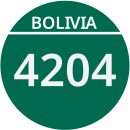 Ruta 4204