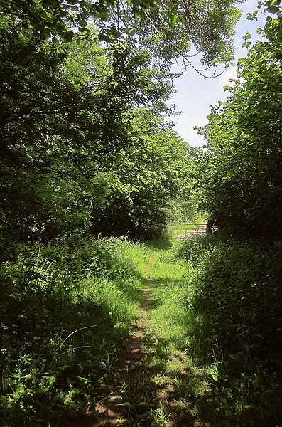 File:Bridleway to Slade Lane - geograph.org.uk - 4506479.jpg