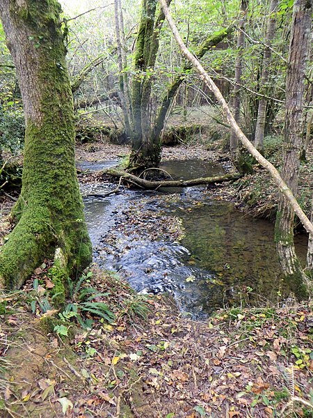 File:Brook running through Berrydown Wood - Oct 2014 - panoramio.jpg