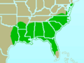 Brown-headed Nuthatch range map.
