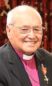 Brown Turei (cropped).jpg