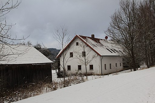 Buchhof 2017