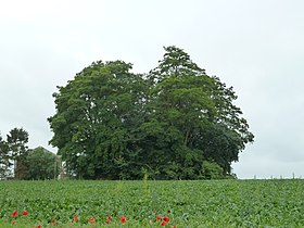 Tumulus de Vissoul makalesinin açıklayıcı görüntüsü