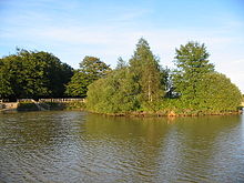 This pond in New Forest, England, has been restored following a viral infection which killed all the fish. Cadmans Pool, New Forest. - geograph.org.uk - 61031.jpg