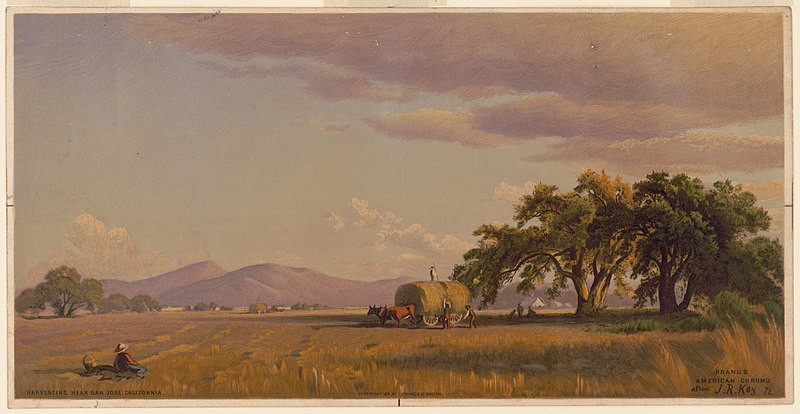 File:California Views. No. 6. harvesting, near San Jose LCCN2003663836.jpg