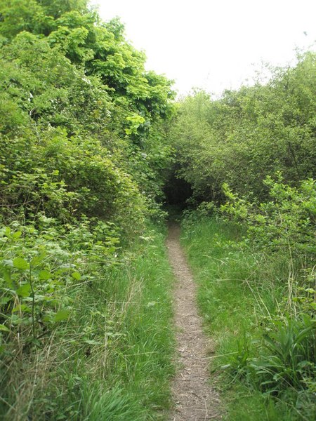 File:Candy's Pit Trail (1) - geograph.org.uk - 1286239.jpg