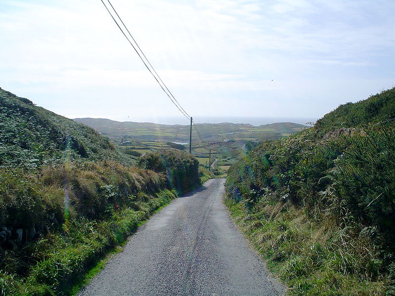 File:CapeClearRoad.jpg