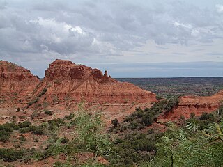 <span class="mw-page-title-main">Caprock Canyons State Park and Trailway</span> Protected area in Briscoe County, Texas with 64 mile trail over former railroad right-of-way