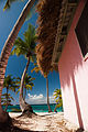 Catalina Island, La Romana, Dominican Republic. A typical bungalow nearby cost line, shaded with palm trees (landscape).jpg