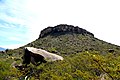 Cerro de Chiquihuitillos - panoramio.jpg
