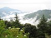 View of hills from Chail (Himachal Pradesh)