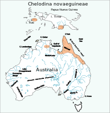 Chelodina novaeguineae distribution map.svg