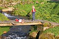 Children of nordradalur (Faroe Islands)