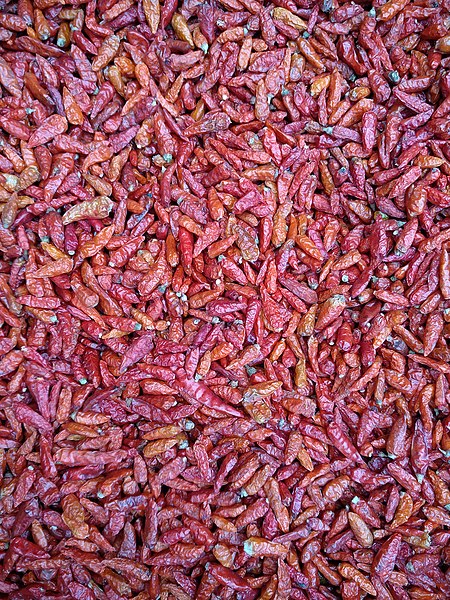 File:Chili peppers cultivated in Myanmar.jpg