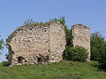 Chornokozyntsi castle ruins 09.JPG