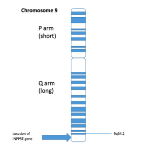 نمودار کروموزوم 9. png