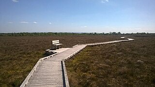 <span class="mw-page-title-main">Clara Bog</span> Bog and nature reserve in County Offaly, Ireland