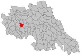 Costești - Carte